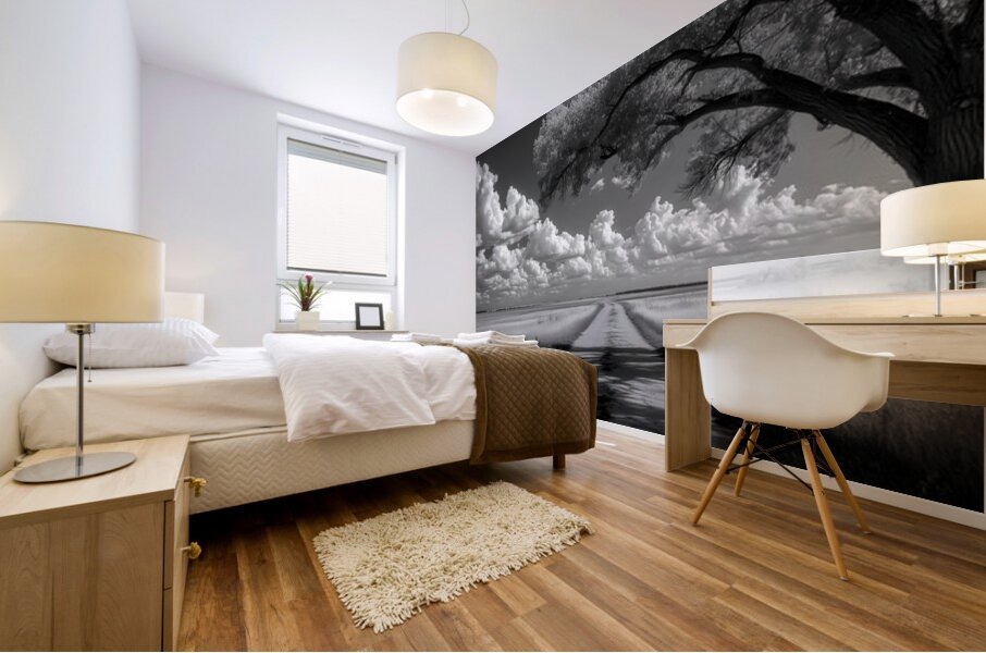 Prairie Road - Monochrome Landscape Art Prints Mural print