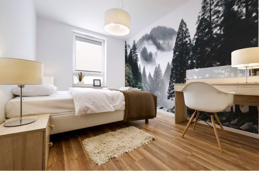 Under The Shroud - Monochrome Landscape Art Prints Mural print