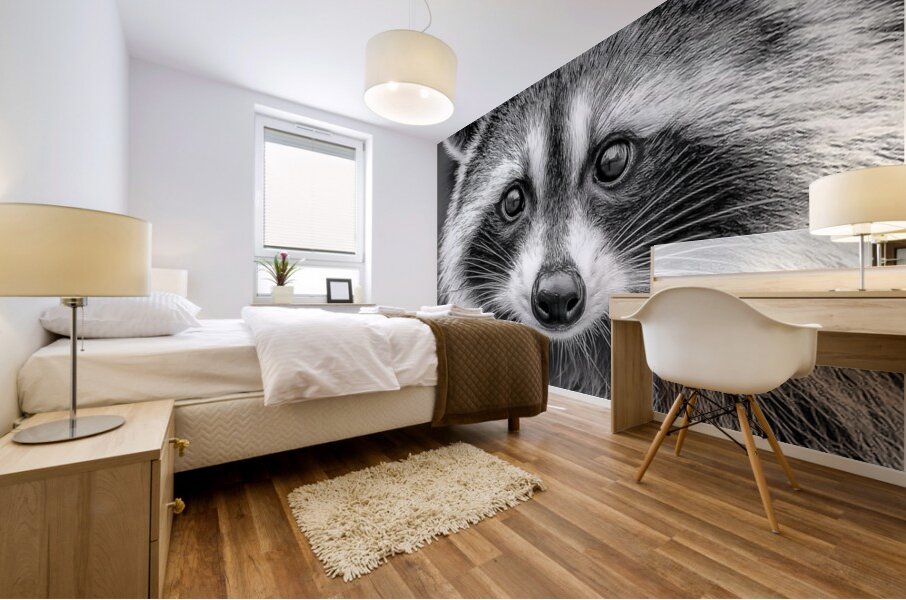Masked Intentions – Raccoon Portrait Art Print Mural print
