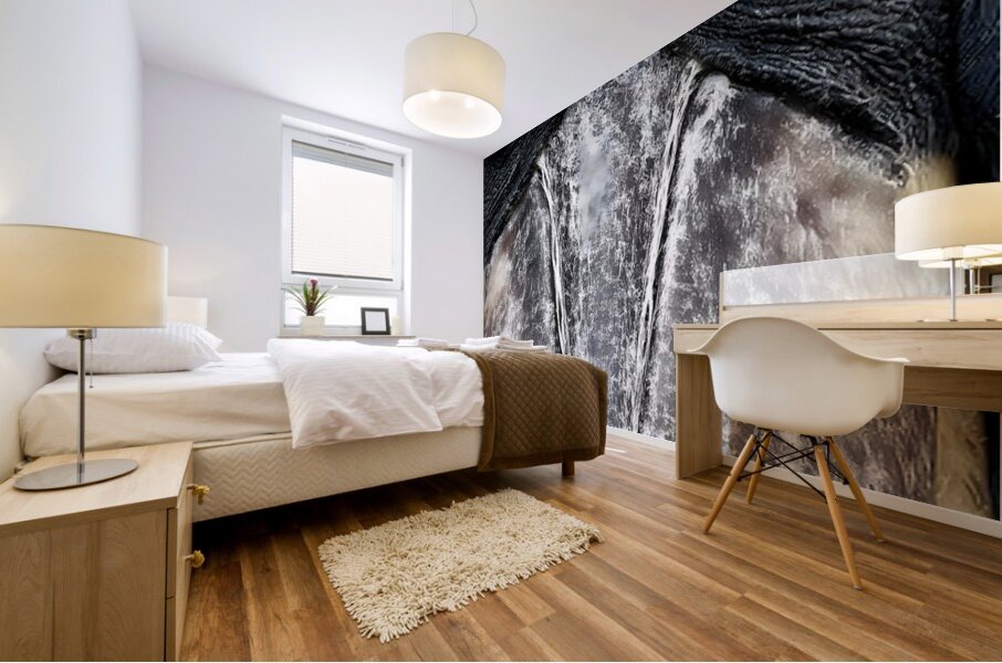 Prehistoric Stare – Present Day Shoebill Print Mural print