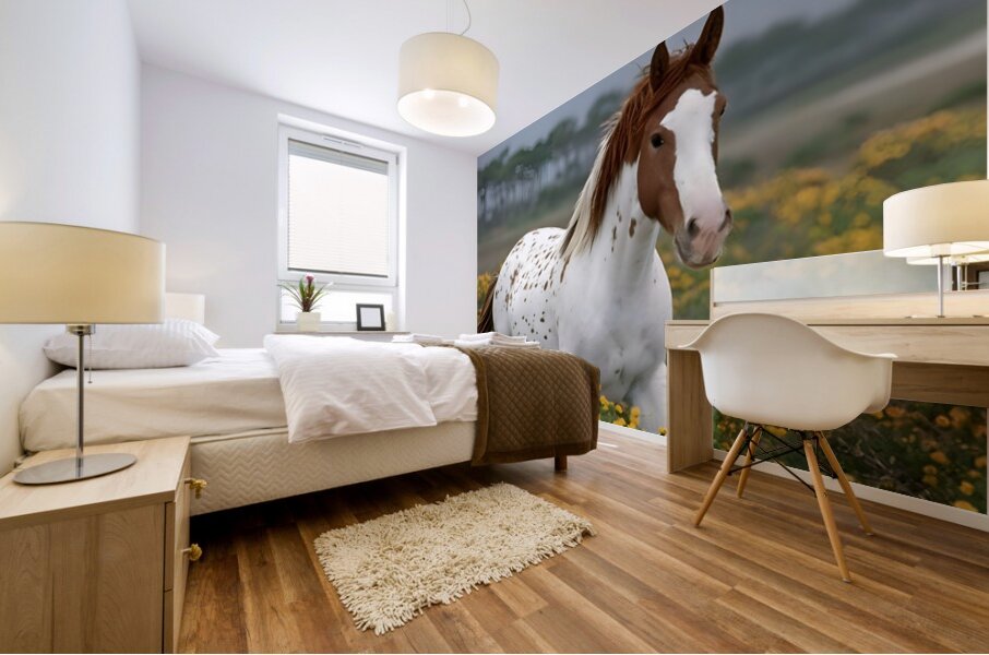 Wild Blossom – Spotted Appaloosa Horse Print Mural print