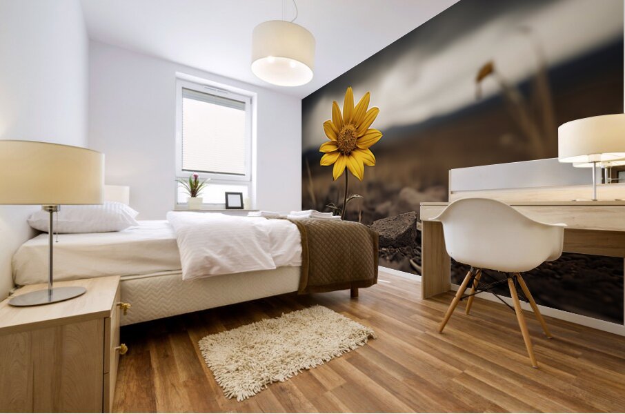 Golden Resolve – Sunflower in Sepia Field Print Mural print