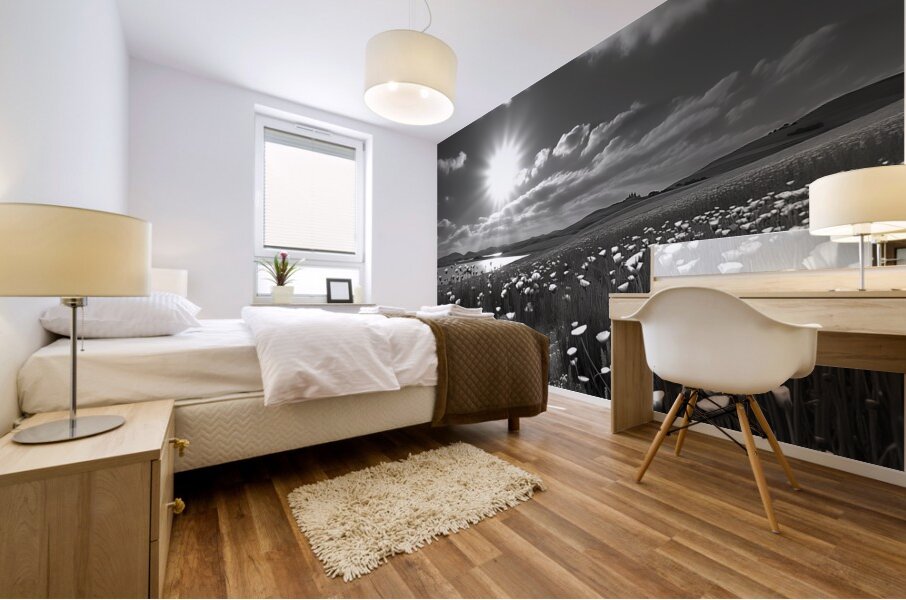 Aequo Animo – Even-Minded Seascape Art Print Mural print