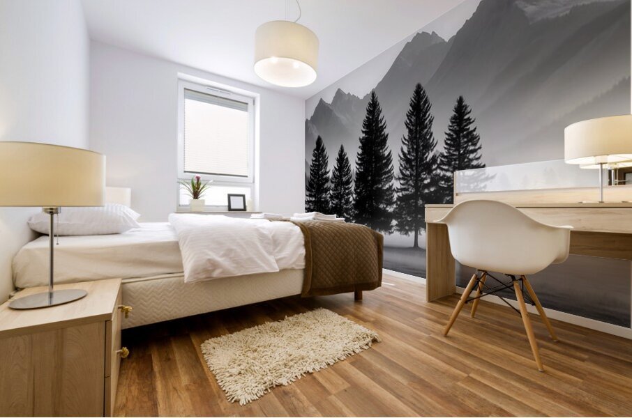 Morning Fog In The Valley - Monochrome Landscape Art Prints Mural print