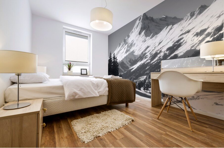 Winter In The Valley - Monochrome Landscape Art Prints Mural print