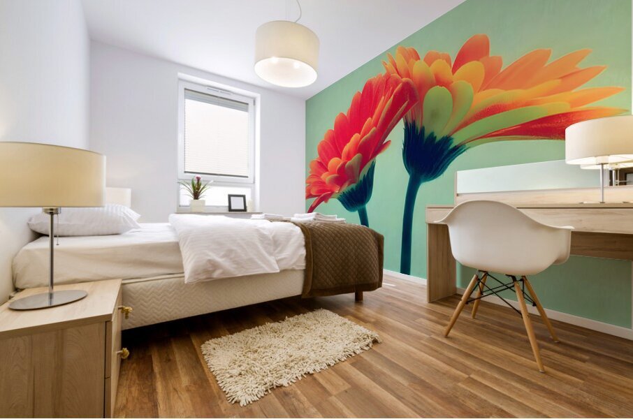 Sunlit Gerberas – Modern Botanical Art Print Mural print