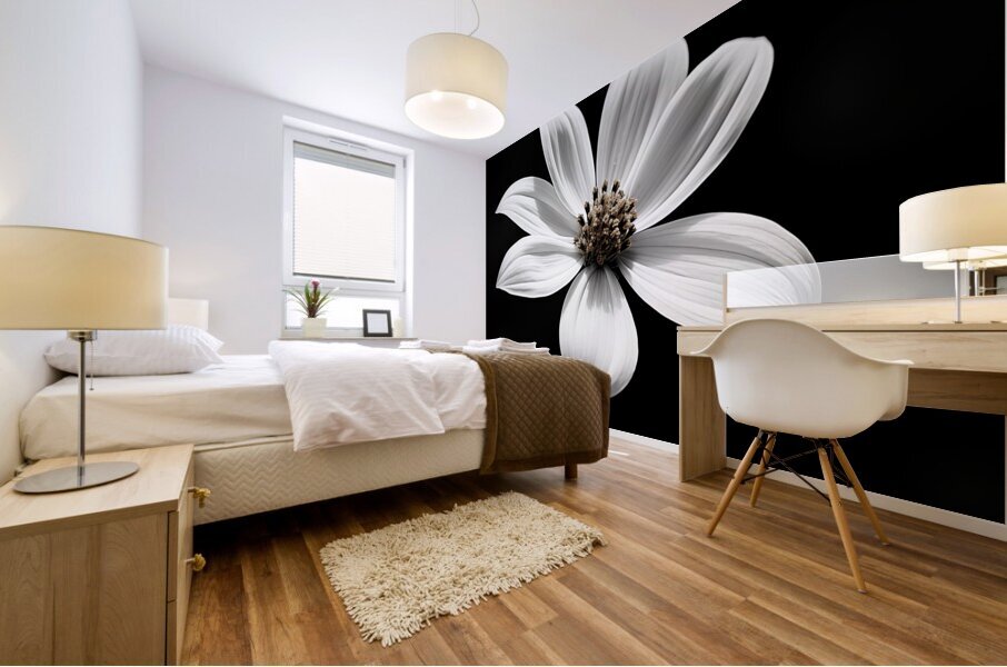 Eclipse Petal – Black and White Macro Flower Print Mural print
