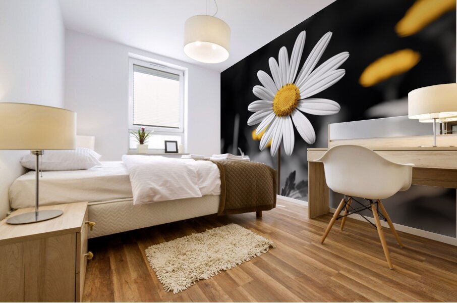 Light & Form – Black and White Daisy Print Mural print
