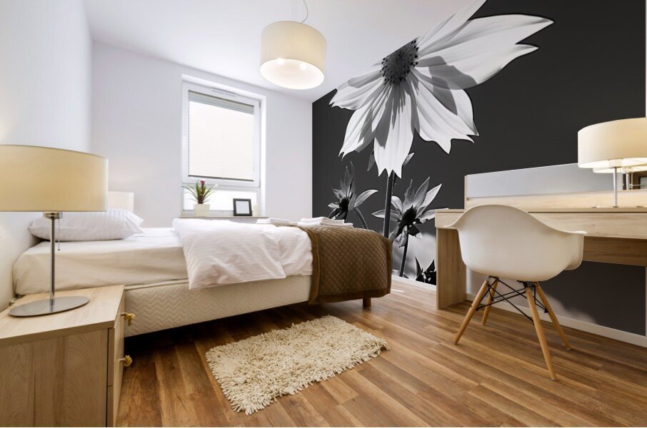 Posture – Minimal Daisy Monochrome Art Print Mural print