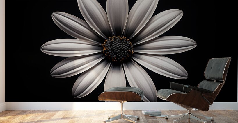 Beaute Impeccable - Impeccable Beauty - Pop Surreal Portrait Art Prints Wall Murals