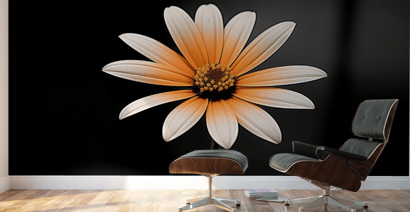 Whispers Of The Wild Daisy - Monochrome Floral Art Prints Wall Murals