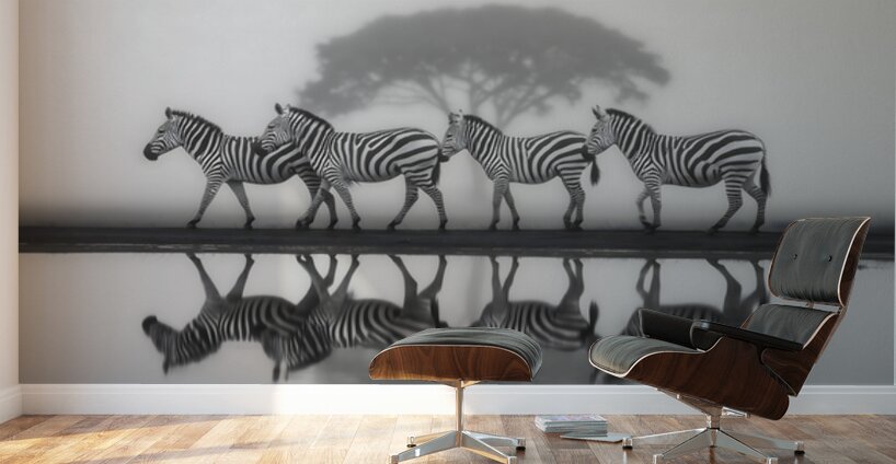 Led Beside Still Waters - Monochrome Landscape Art Prints Wall Murals