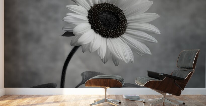 Sunflower Selfie 18 - Sunflower Portrait Art Prints Wall Murals