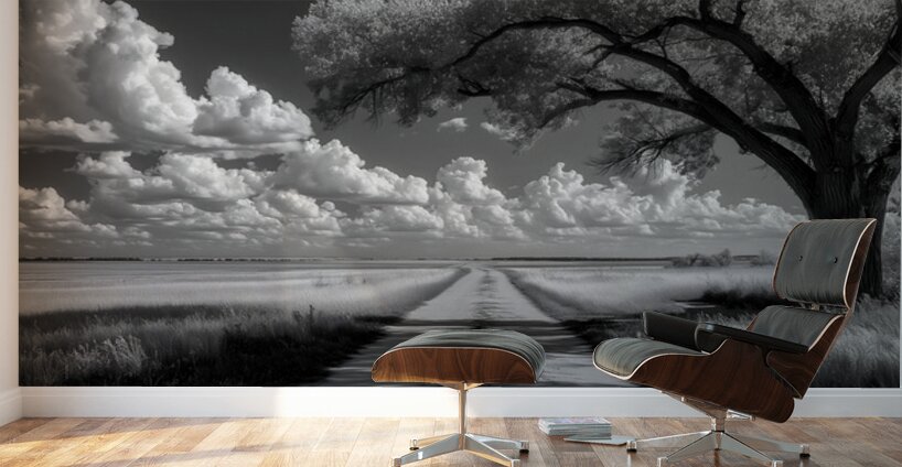 Prairie Road - Monochrome Landscape Art Prints Wall Murals