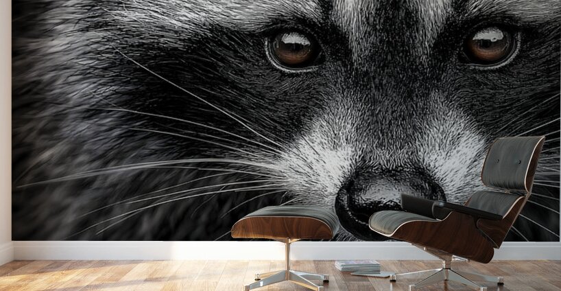 Bandit – Raccoon Portrait Art Print Wall Murals