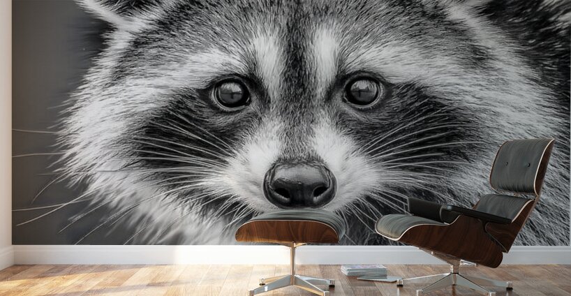Masked Intentions – Raccoon Portrait Art Print Wall Murals