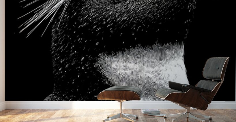 Cry of the Rockhopper – Modern Wildlife Print Wall Murals