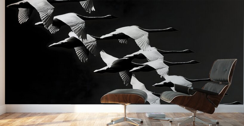 Flight Code – Geese Formation Print Wall Murals