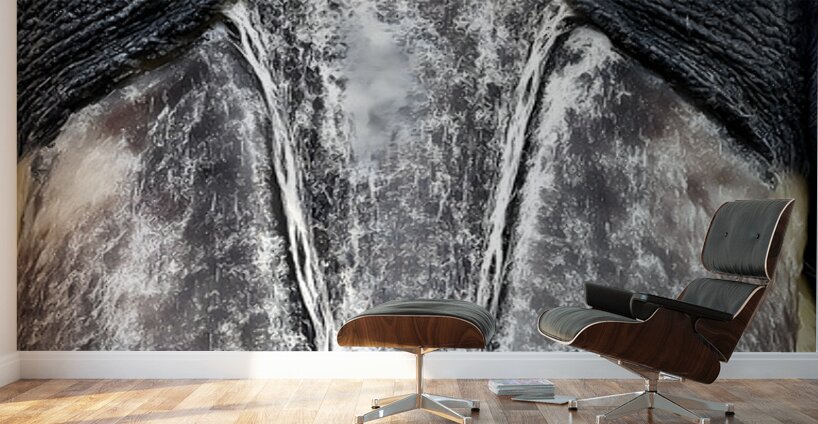 Prehistoric Stare – Present Day Shoebill Print Wall Murals