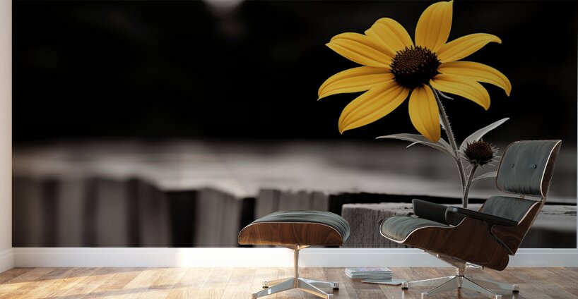 Defiant Bloom – Yellow Flower on Fence Print Wall Murals