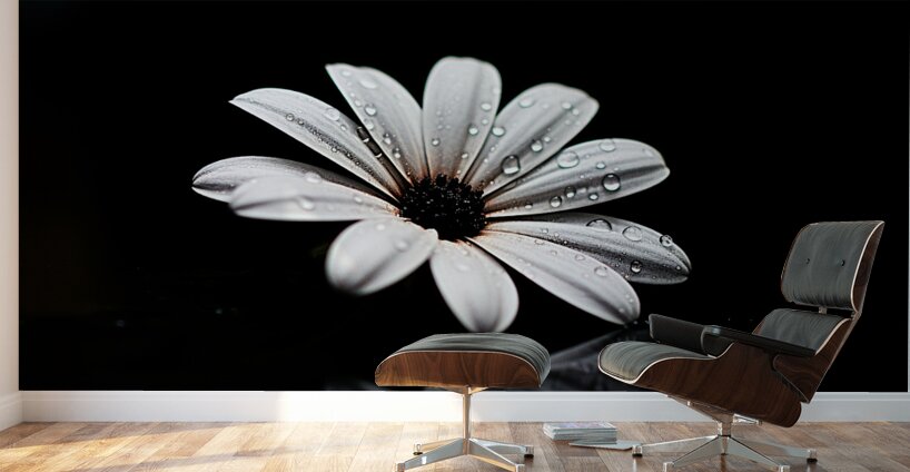Whisper Bloom – Minimalist Daisy on Black Print Wall Murals