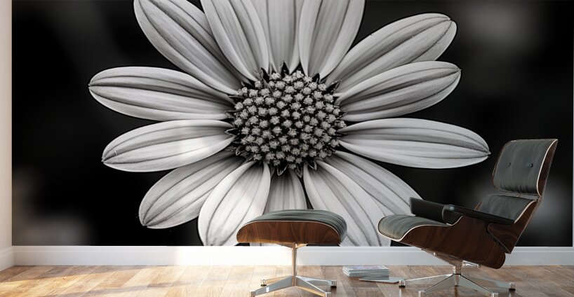 Fields of Memory – Black and White Sunflower Portrait Wall Murals