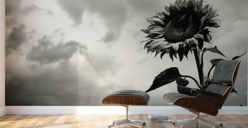 Stormwatch – Sunflower Under Clouded Sky Print Wall Murals