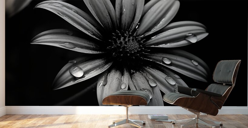 Obsidian Bloom I – Graphic Floral Print Wall Murals