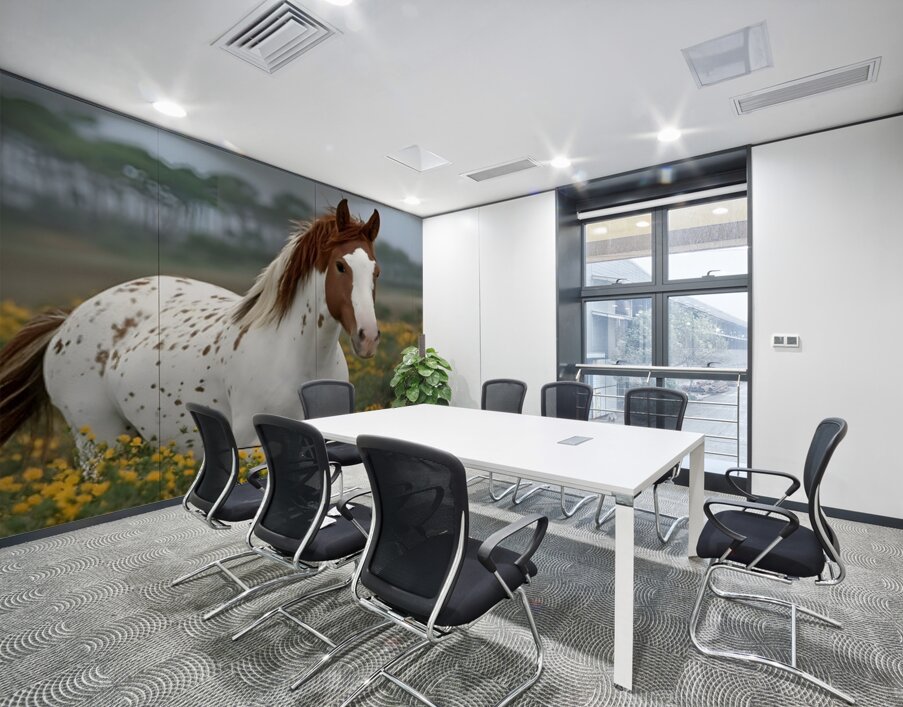 Wild Blossom – Spotted Appaloosa Horse Print Wall Printing