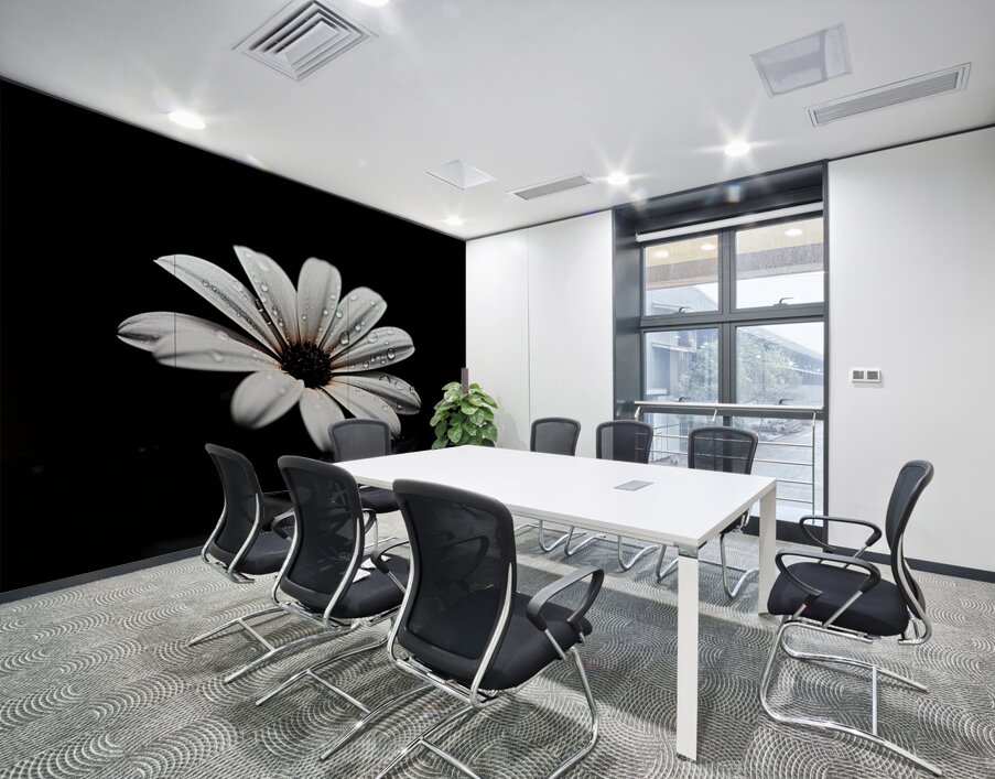 Whisper Bloom – Minimalist Daisy on Black Print Wall Printing