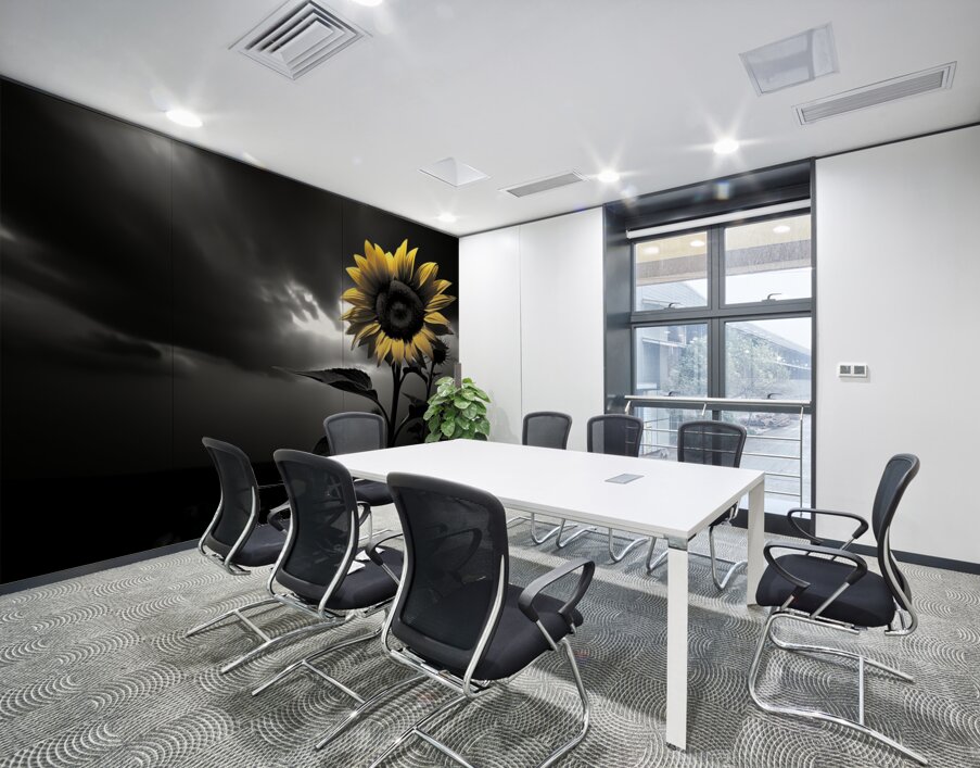 Hope in Bloom – Selective Color Sunflower Print Wall Printing