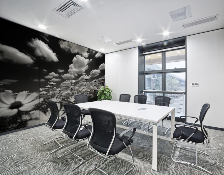 Whispers of the Sky – Monochrome Daisy Field Print Wall Printing