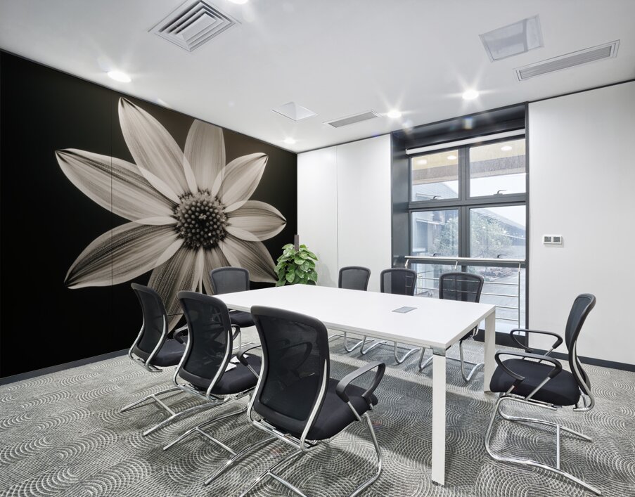 Sumptuous – Soft-Glow Daisy Monochrome Art Print Wall Printing