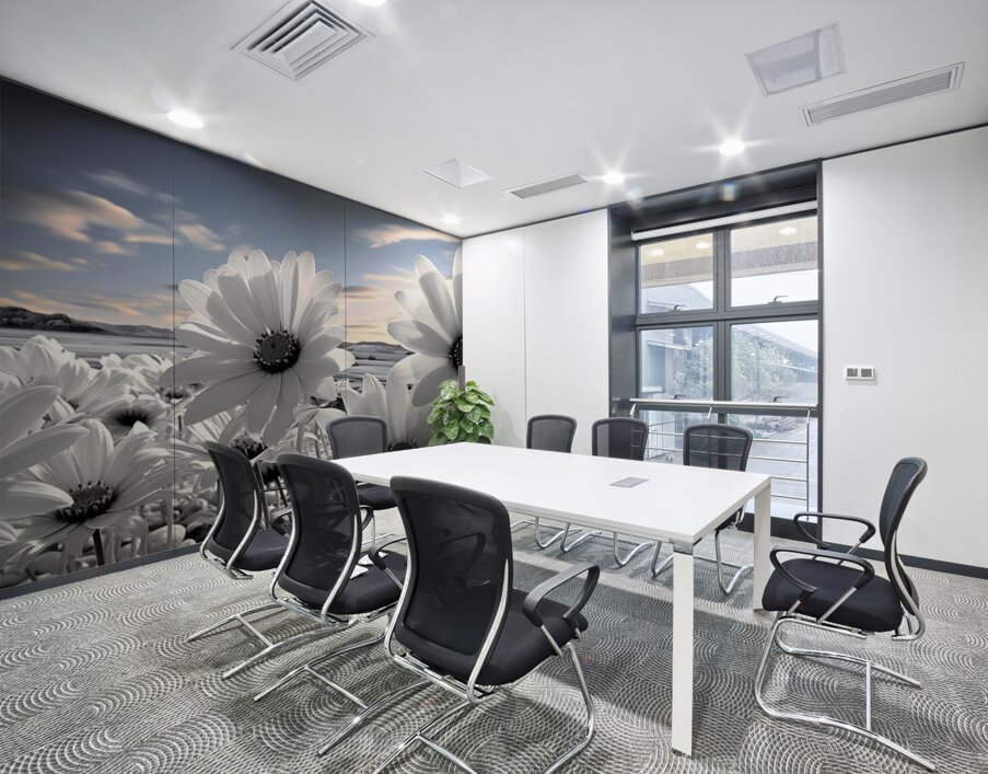 Silent Harmony – Black & White Garden Daisy Art Print Wall Printing