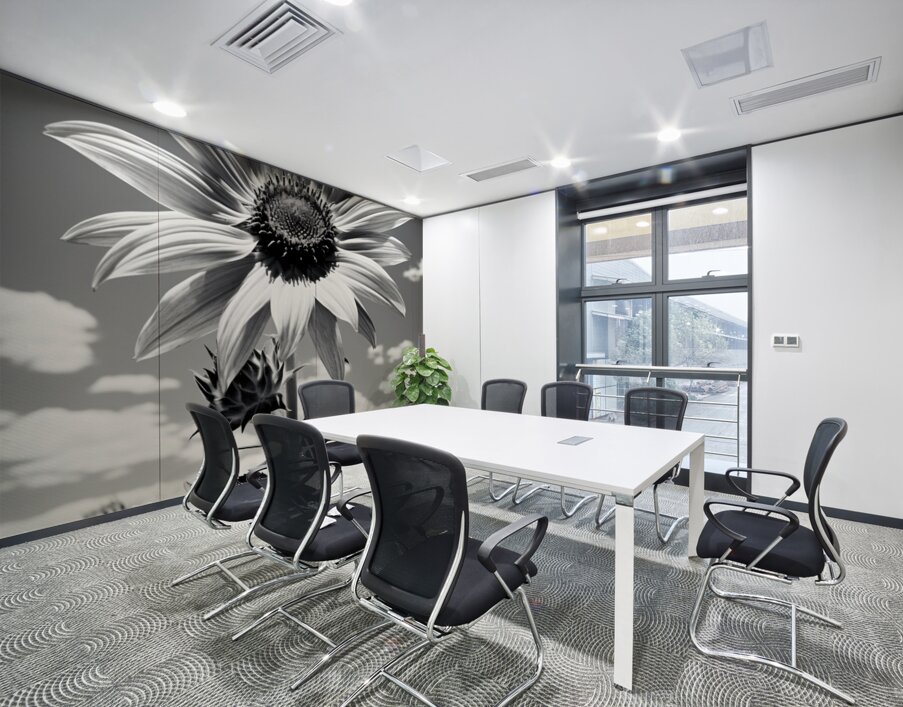 Vitamin D - Black & White Sunflower Art Print Wall Printing