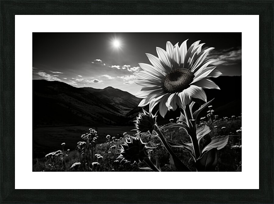  Fine Art print