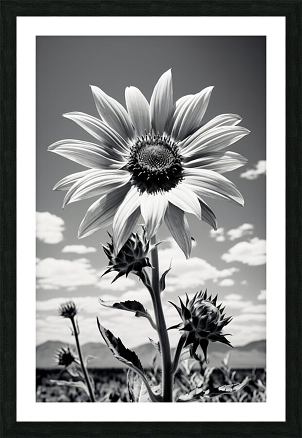  Fine Art print