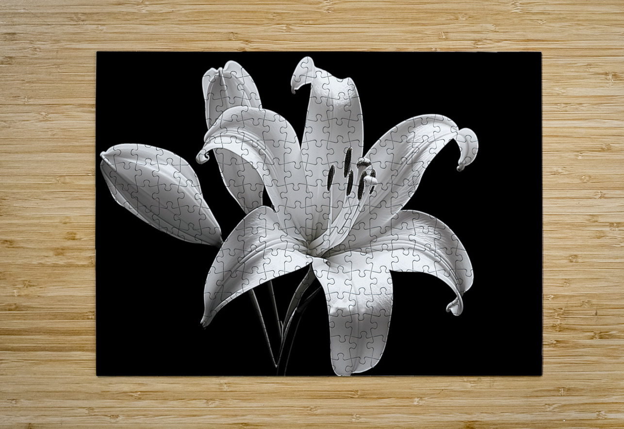 Lily Of The Light - Monochrome Lily Floral Art Prints Savage Art Prints Puzzle printing