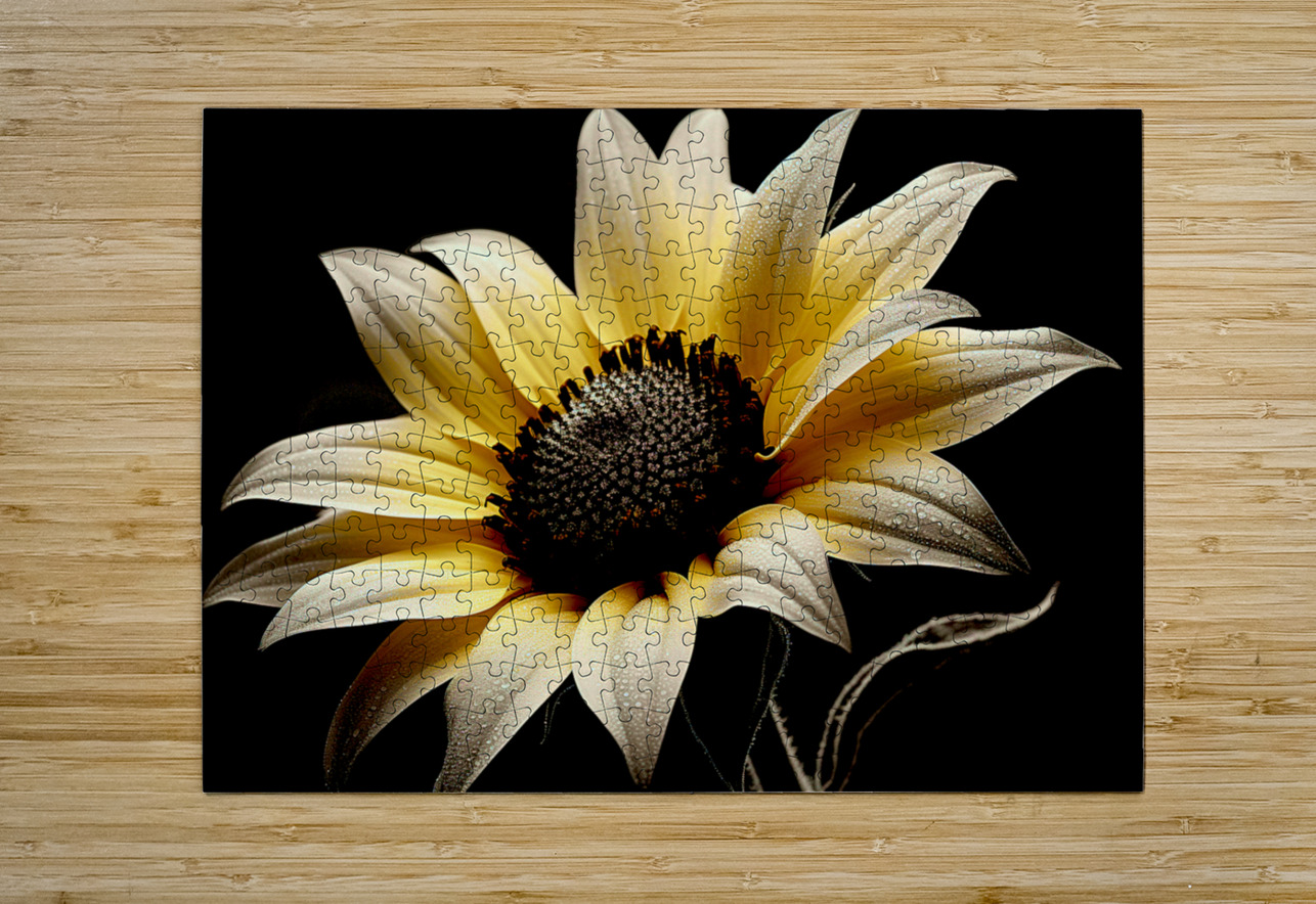 Petal Perspective 48 - Macro Floral Art Prints Savage Art Prints Puzzle printing