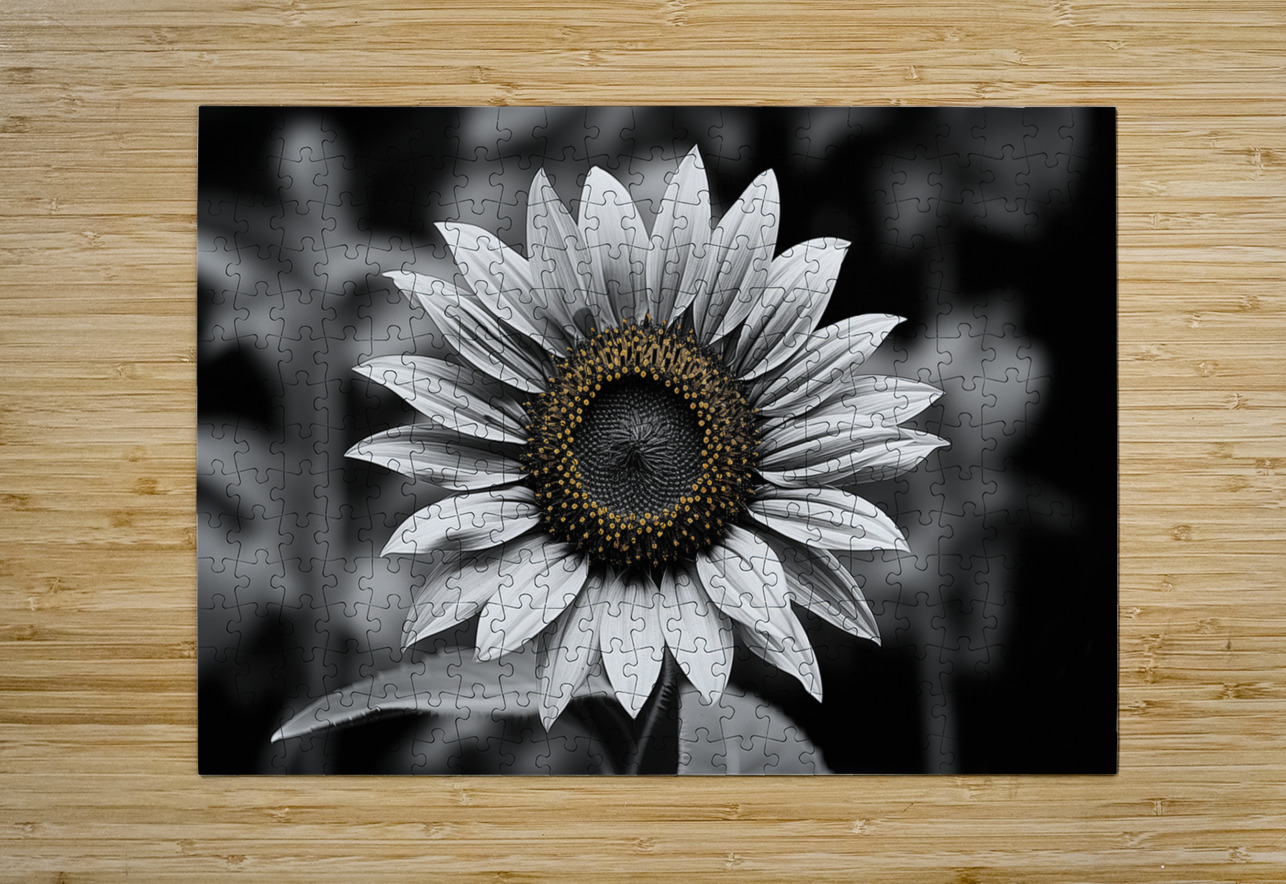 Petal Perspective 5 - Macro Floral Art Prints Savage Art Prints Puzzle printing