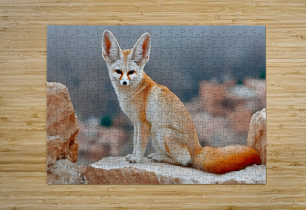 Sand Whisper – Fennec Fox Print Savage Art Prints Puzzle printing