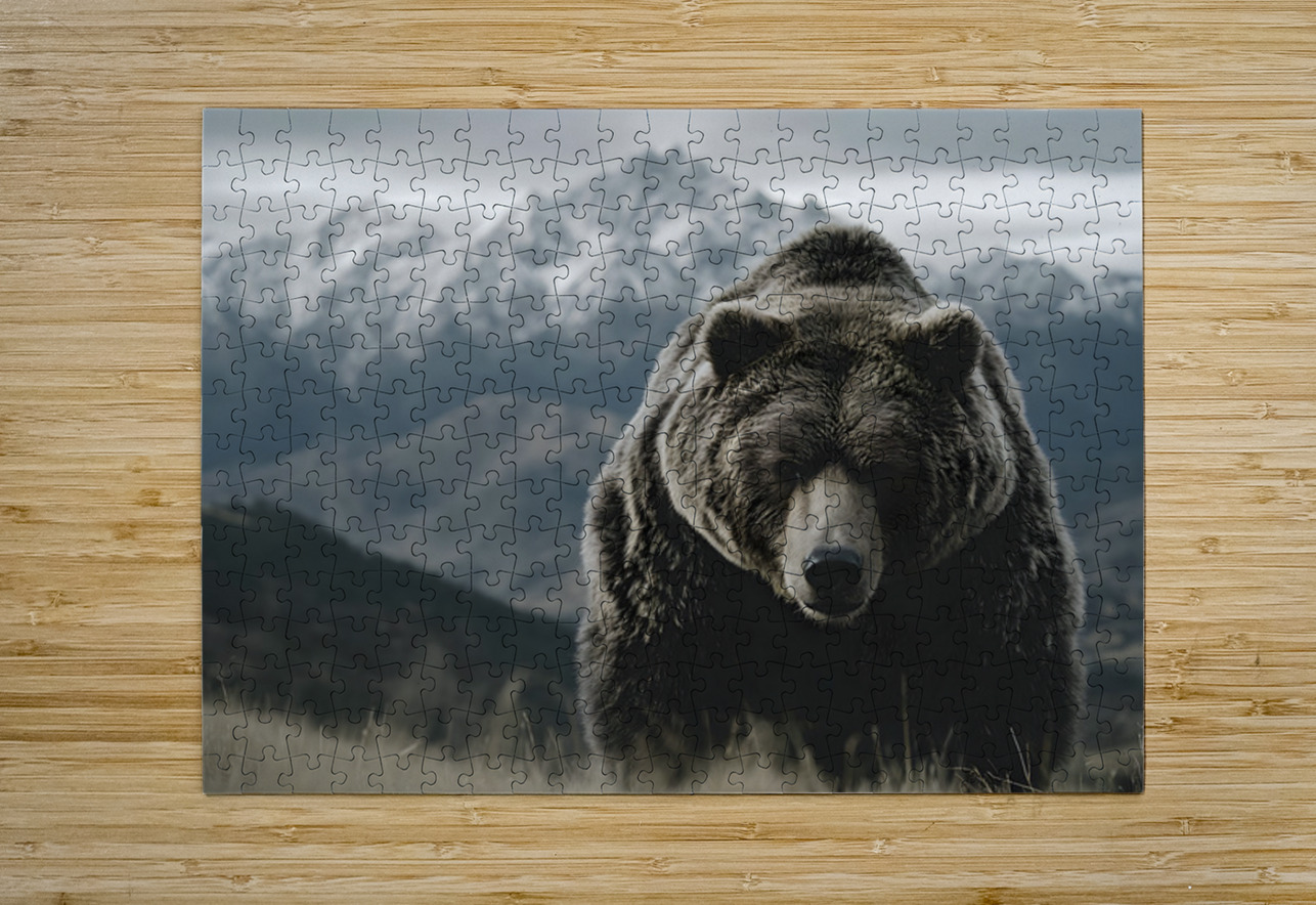 Summit Guardian – Kodiak Bear Print Savage Art Prints Puzzle printing