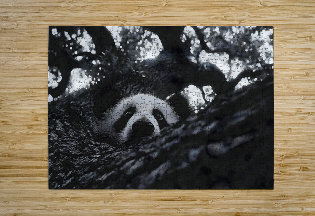 Peek-A-Boo – Panda Portrait Print Savage Art Prints Puzzle printing