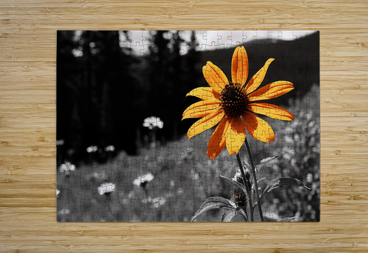 Wild Solitude – Orange Flower in Mountain Meadow Print Savage Art Prints Puzzle printing
