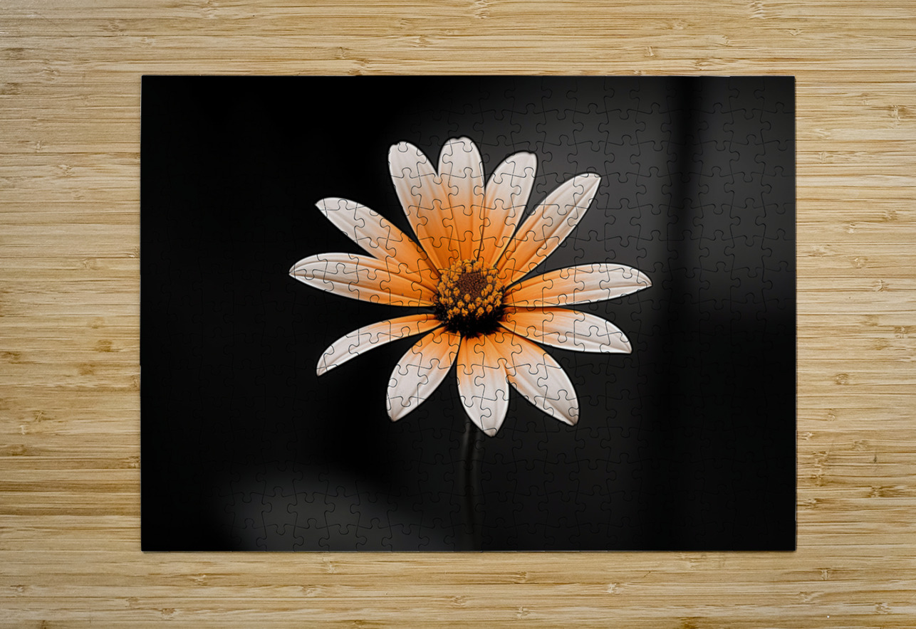 Amber Echo – Warm Toned Floral Minimalist Print Savage Art Prints Puzzle printing
