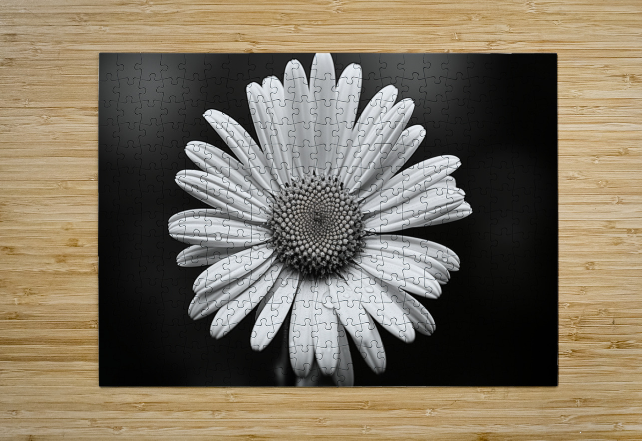 Petals of Memory – Vintage Daisy Landscape Print Savage Art Prints Puzzle printing