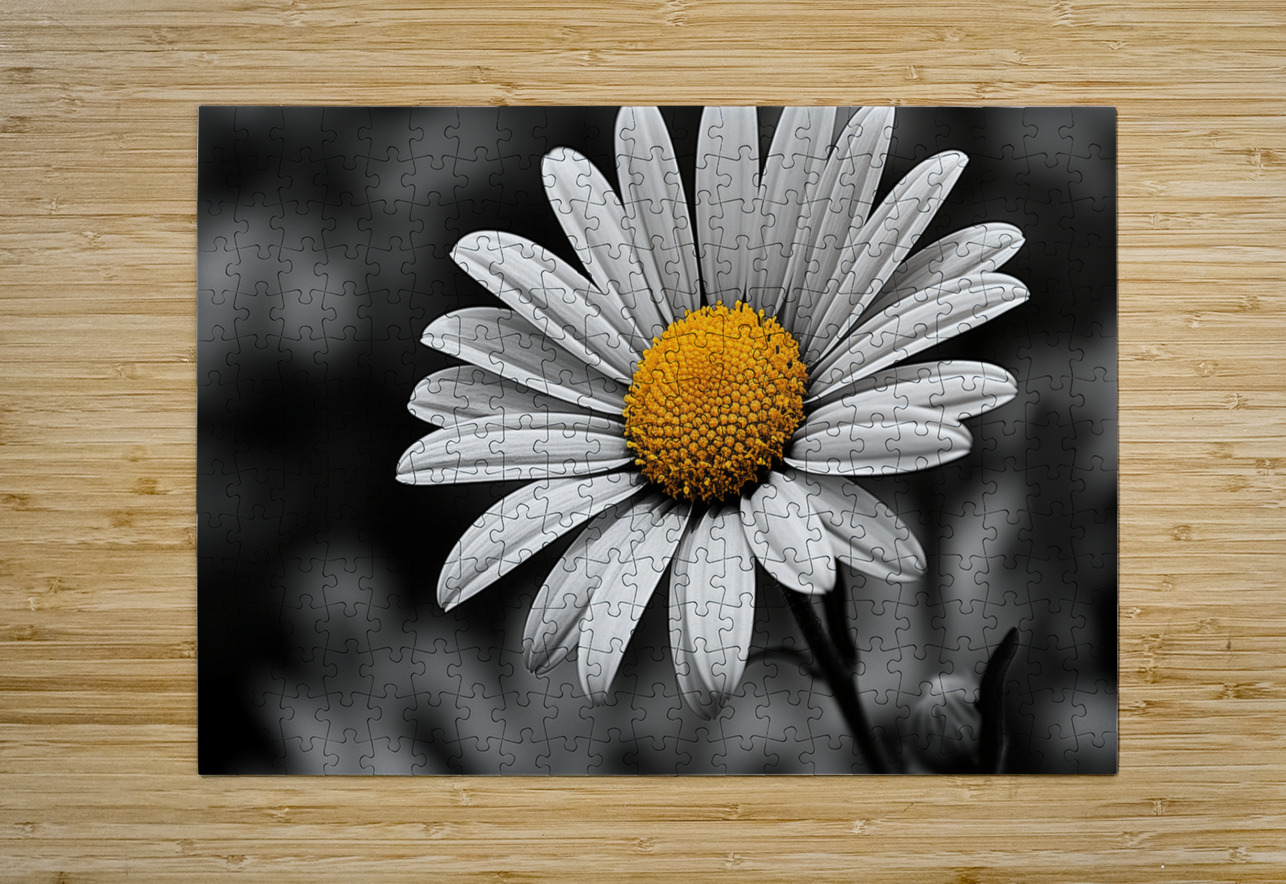 Amber Whisper – Yellow Petal Accent Print Savage Art Prints Puzzle printing