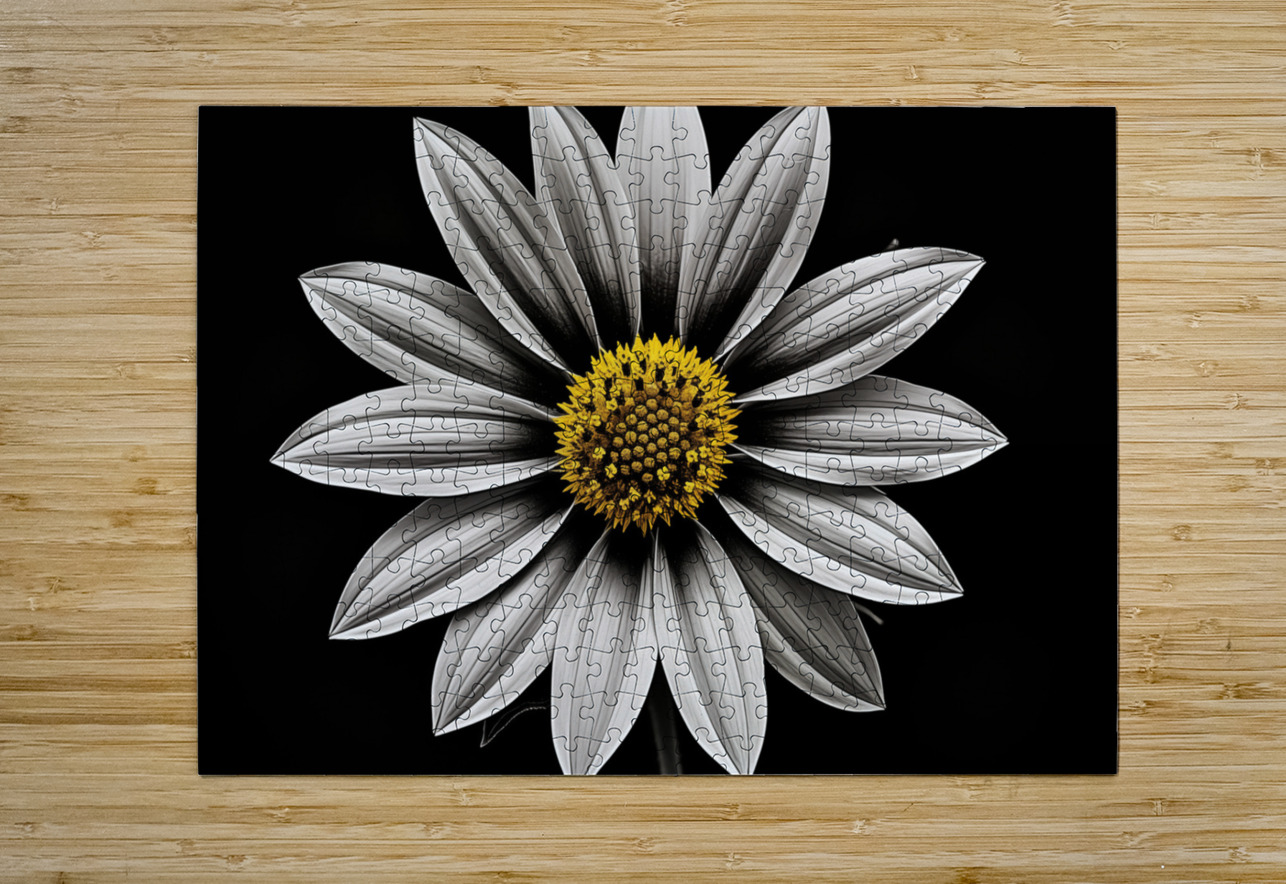 Wallflower – Sunflower of Resilience Print Savage Art Prints Puzzle printing