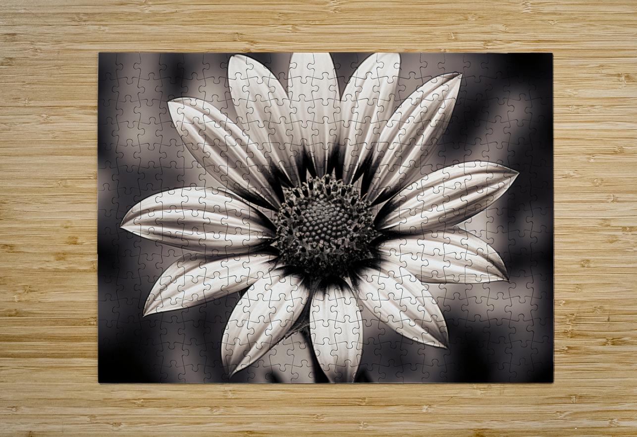 Opulent – Monochrome Daisy Medallion Art Print Savage Art Prints Puzzle printing
