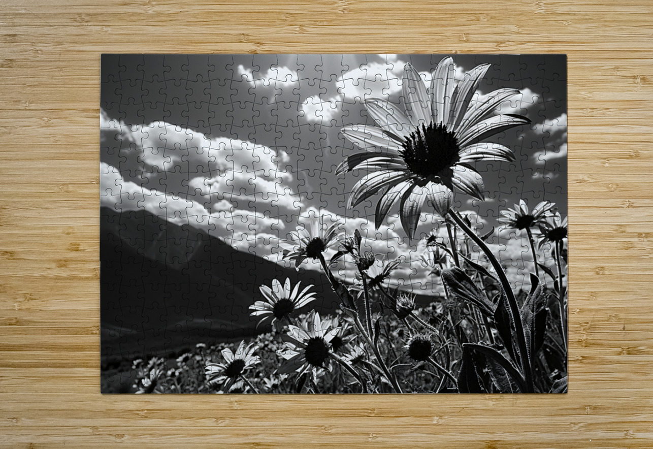 Bloomscape – Wide Field Floral Monochrome Art Print Savage Art Prints Puzzle printing